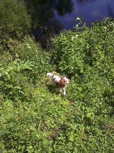 2001.07.23 13.02.58.jpg